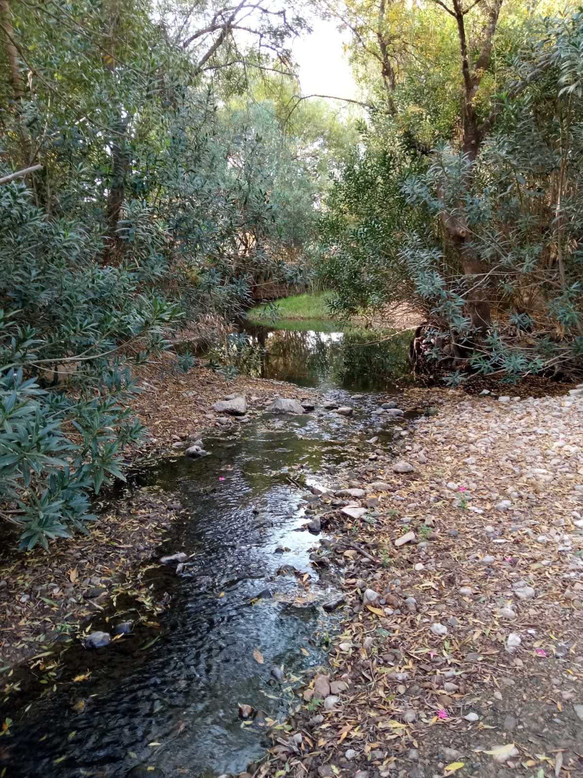 Explora las milenarias veredas de Alcalá
