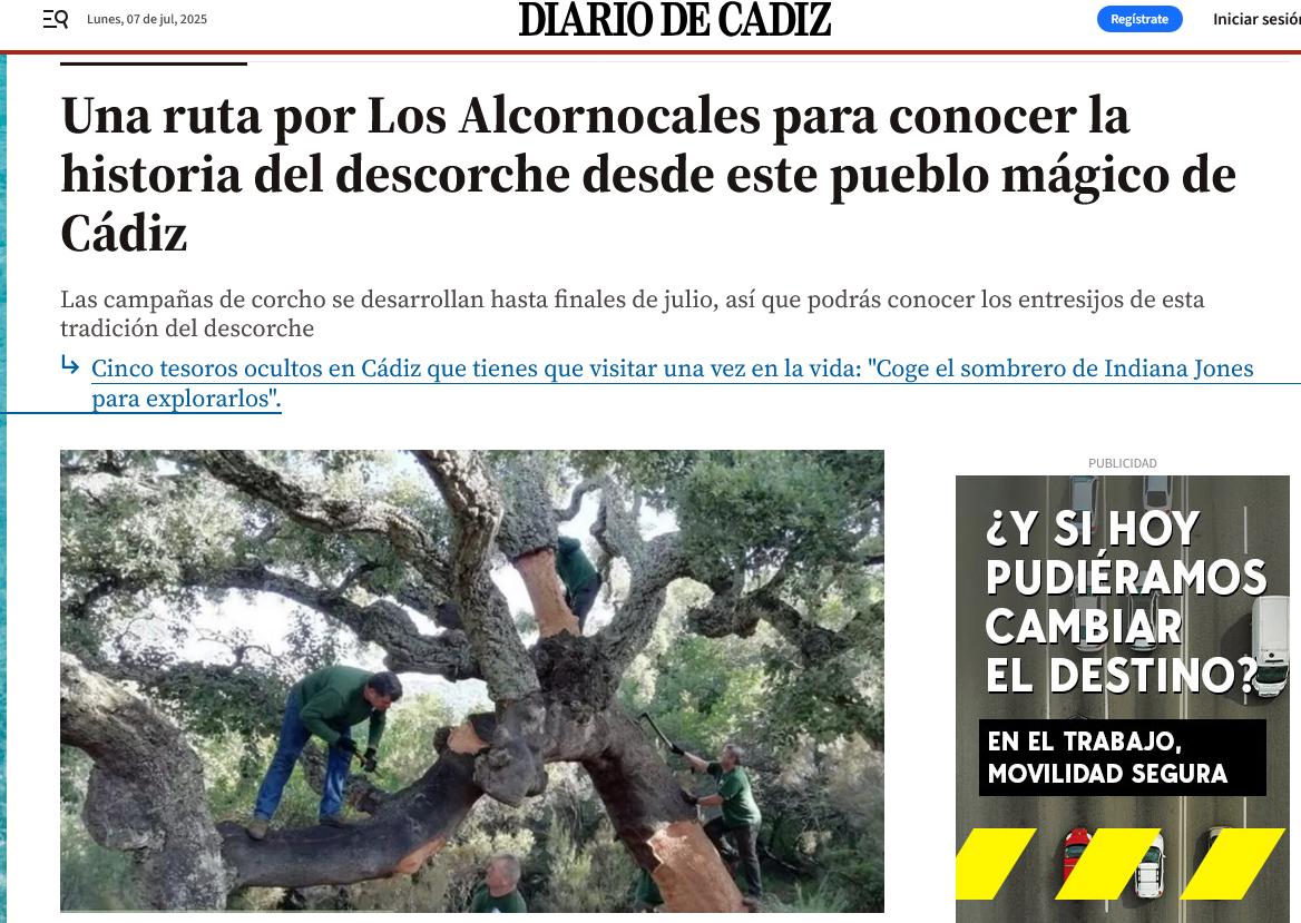Diario de Cádiz