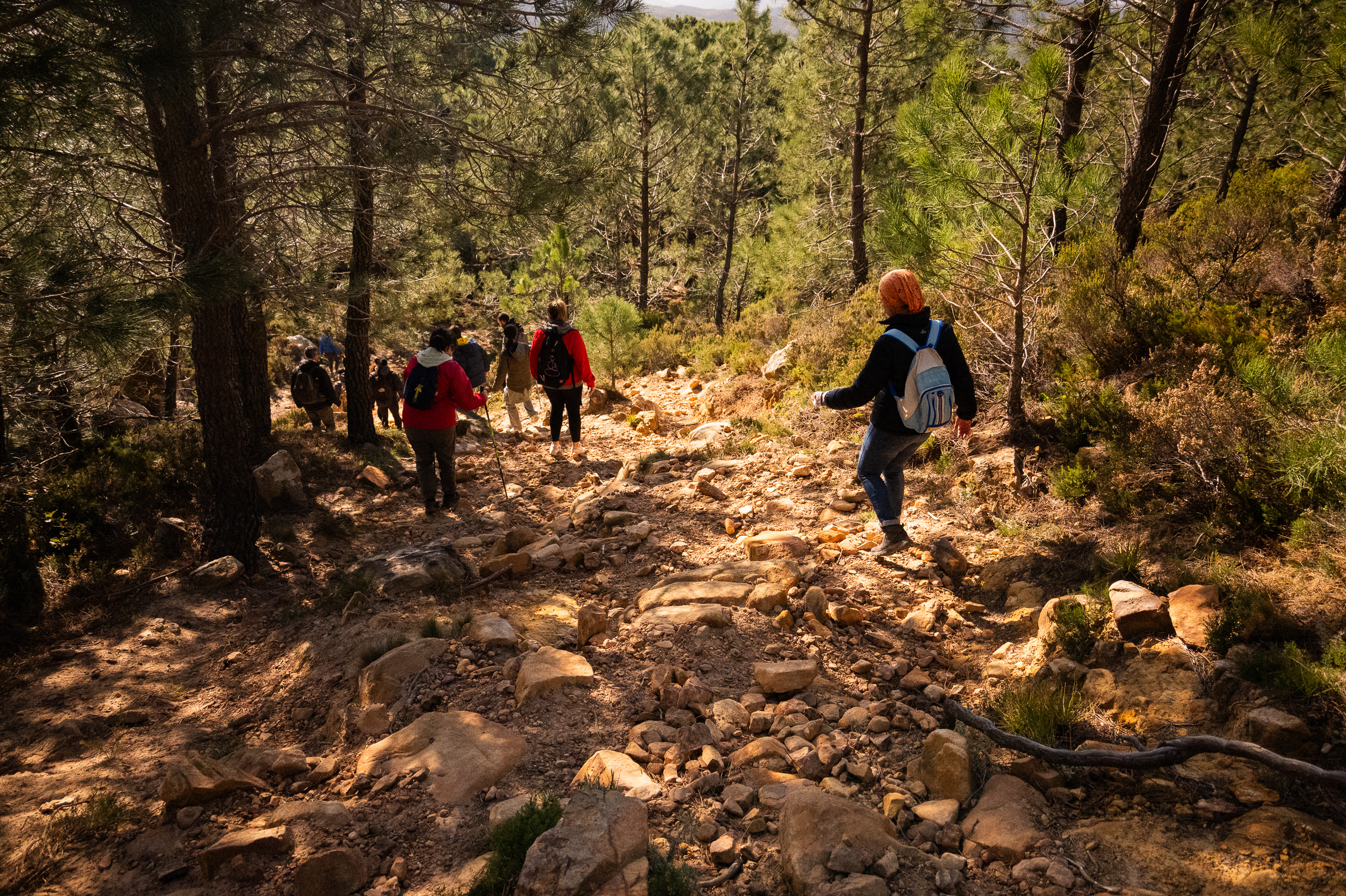 Rutas Naturales